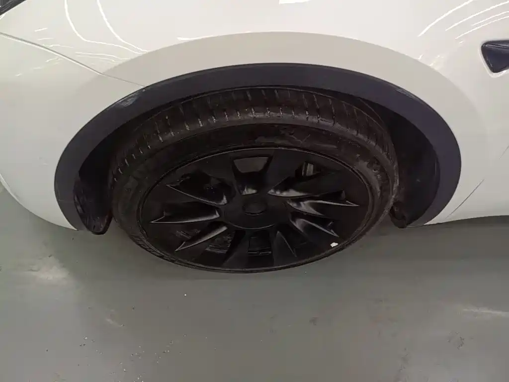 Tesla Model Y — миниатюра 23