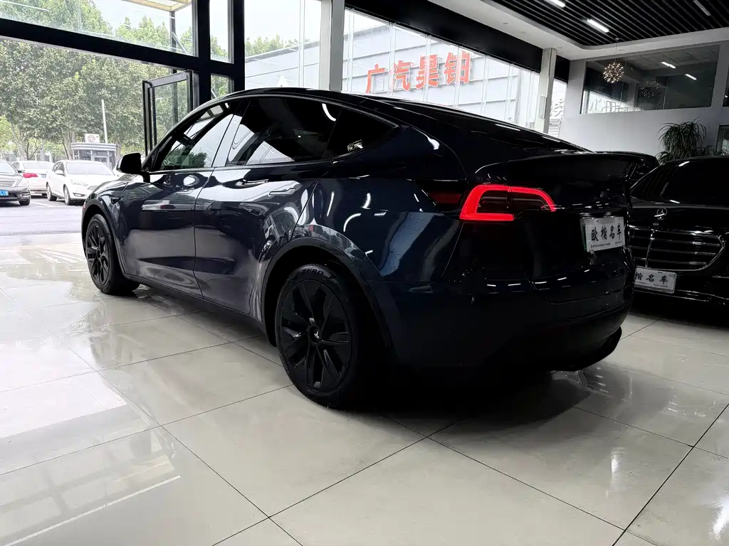 Tesla Model Y — миниатюра 4