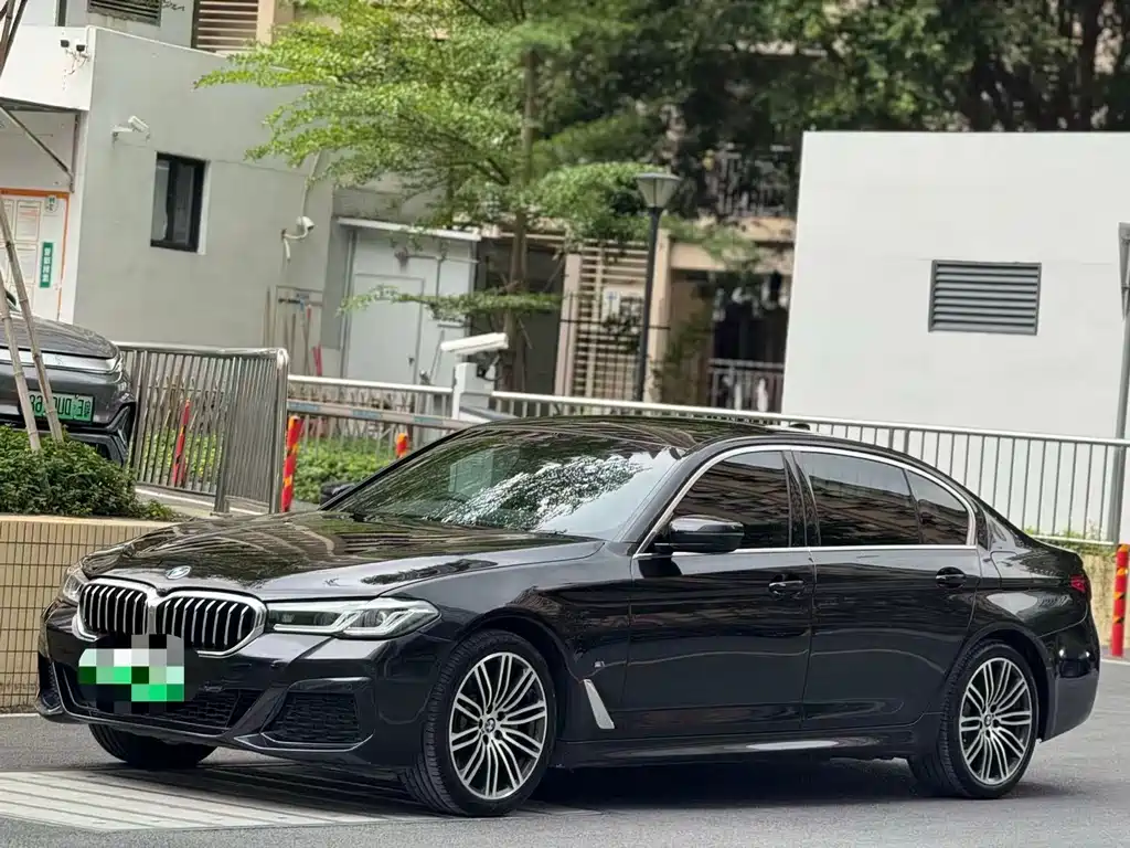 BMW 5 Series New Energy 2021