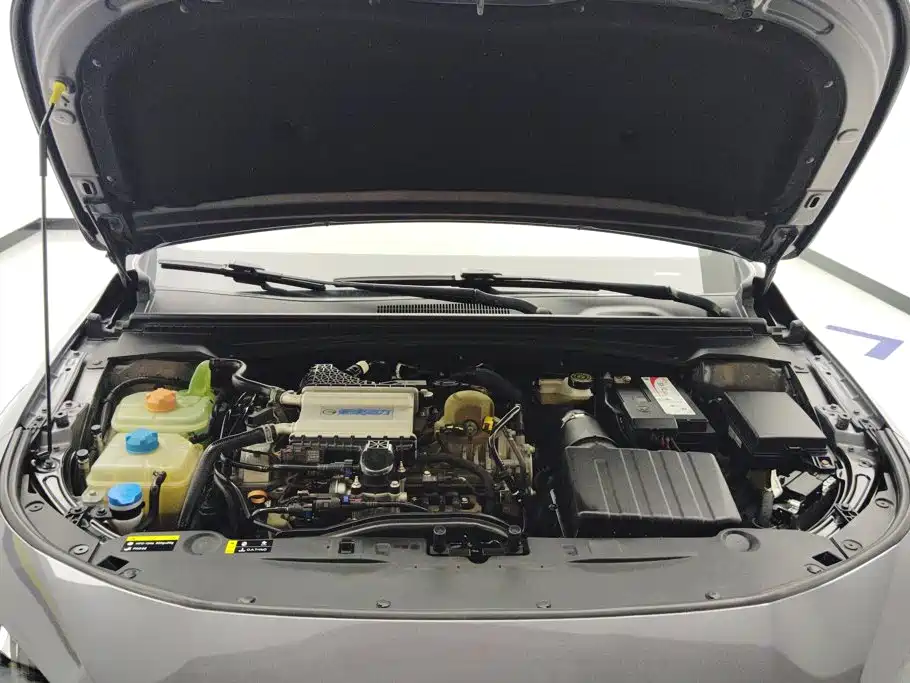 GAC Motor Shadow Leopard — миниатюра 10