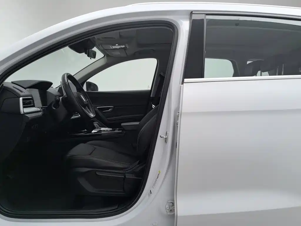 BYD Pro — миниатюра 10