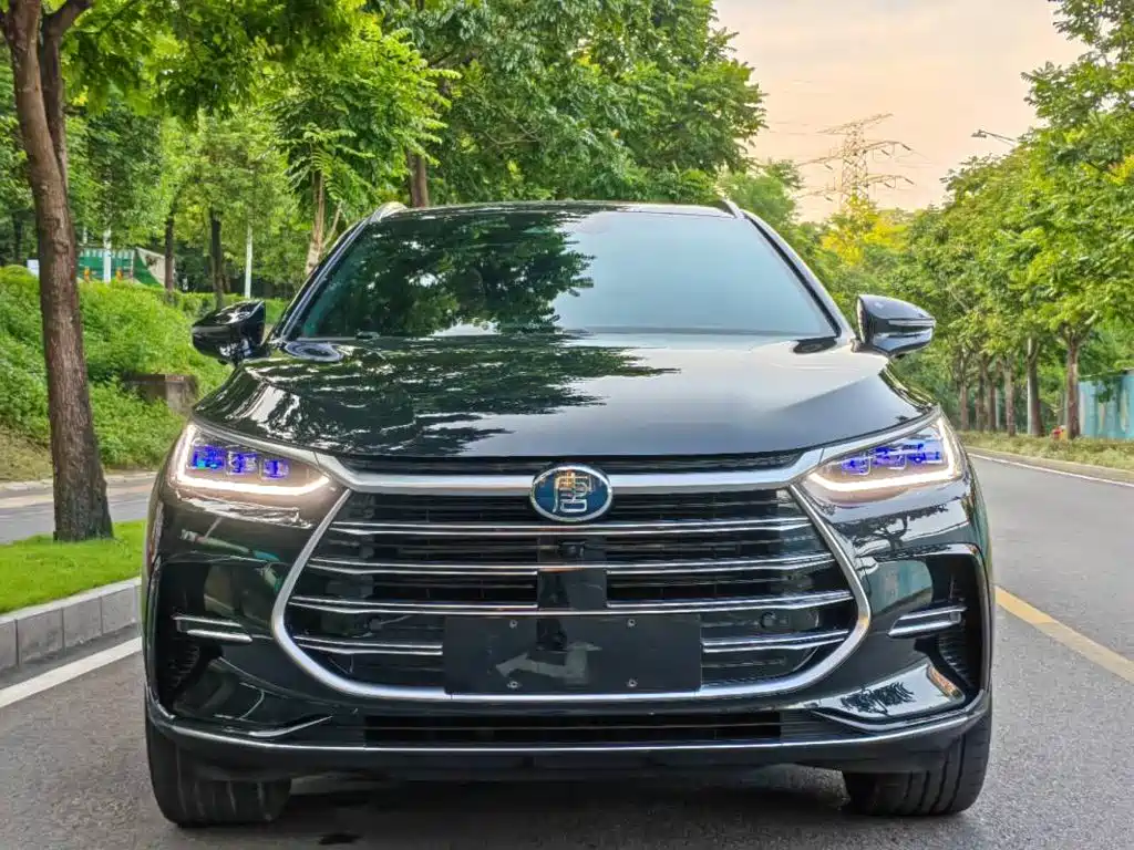 BYD Tang New Energy — миниатюра 2