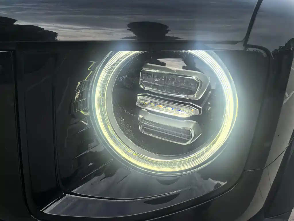 Haval Big Dog — миниатюра 34