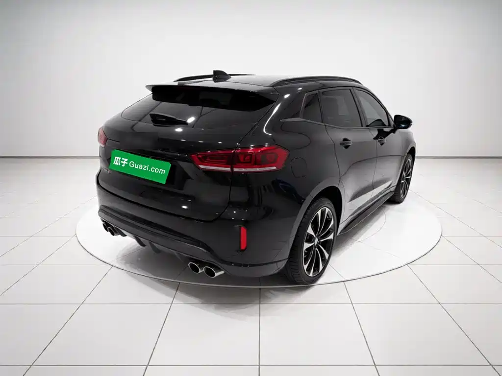 Wey Wey VV7 — миниатюра 6