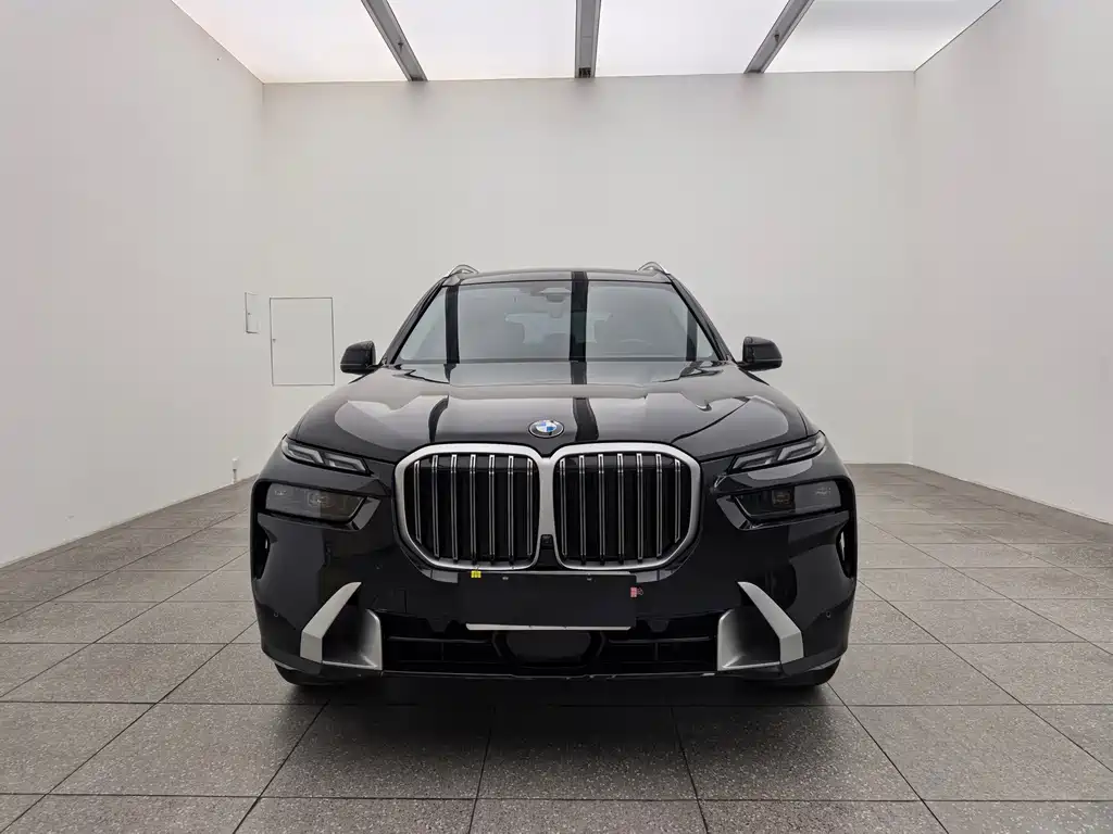 BMW X7 — миниатюра 2