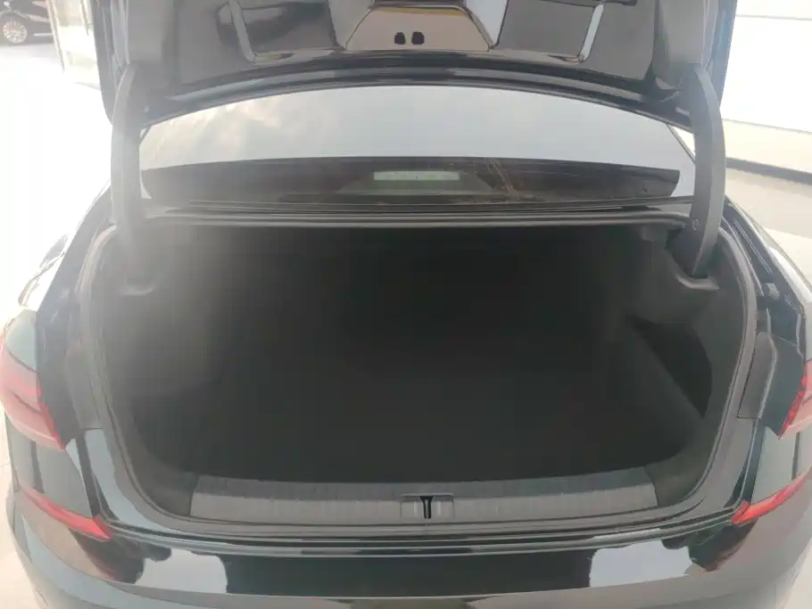 Volkswagen Passat — миниатюра 4