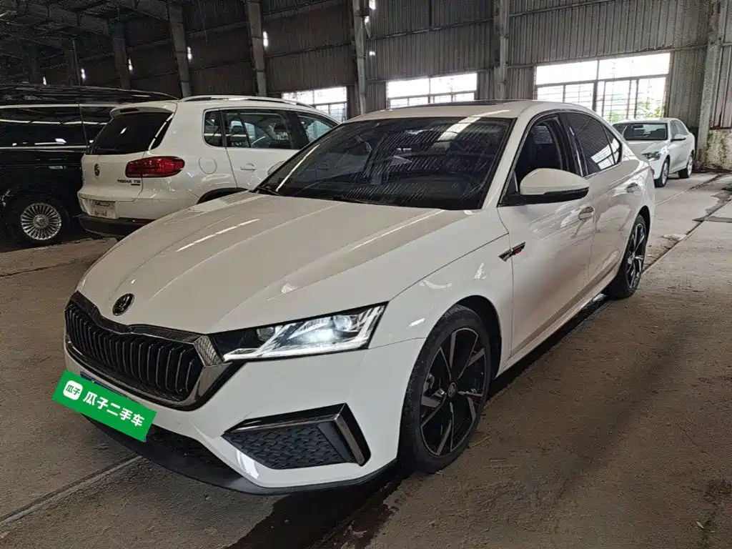 Skoda Octavia — миниатюра 2