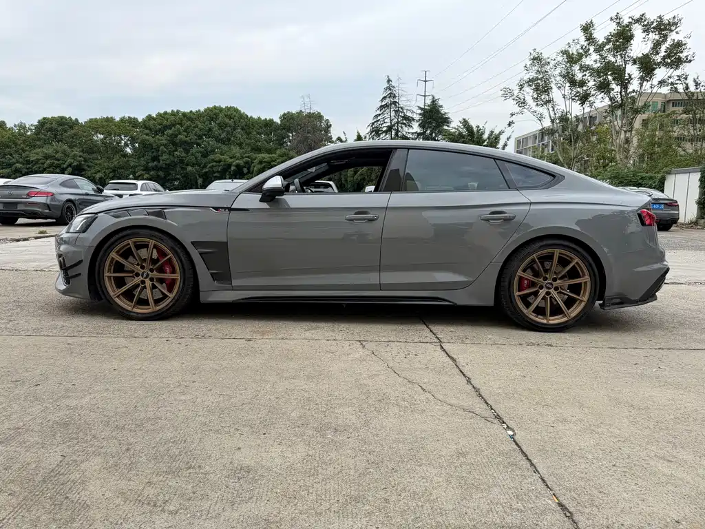 Audi RS 5 — миниатюра 8
