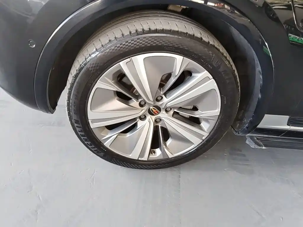 Hongqi Hongqi E-HS9 — миниатюра 23