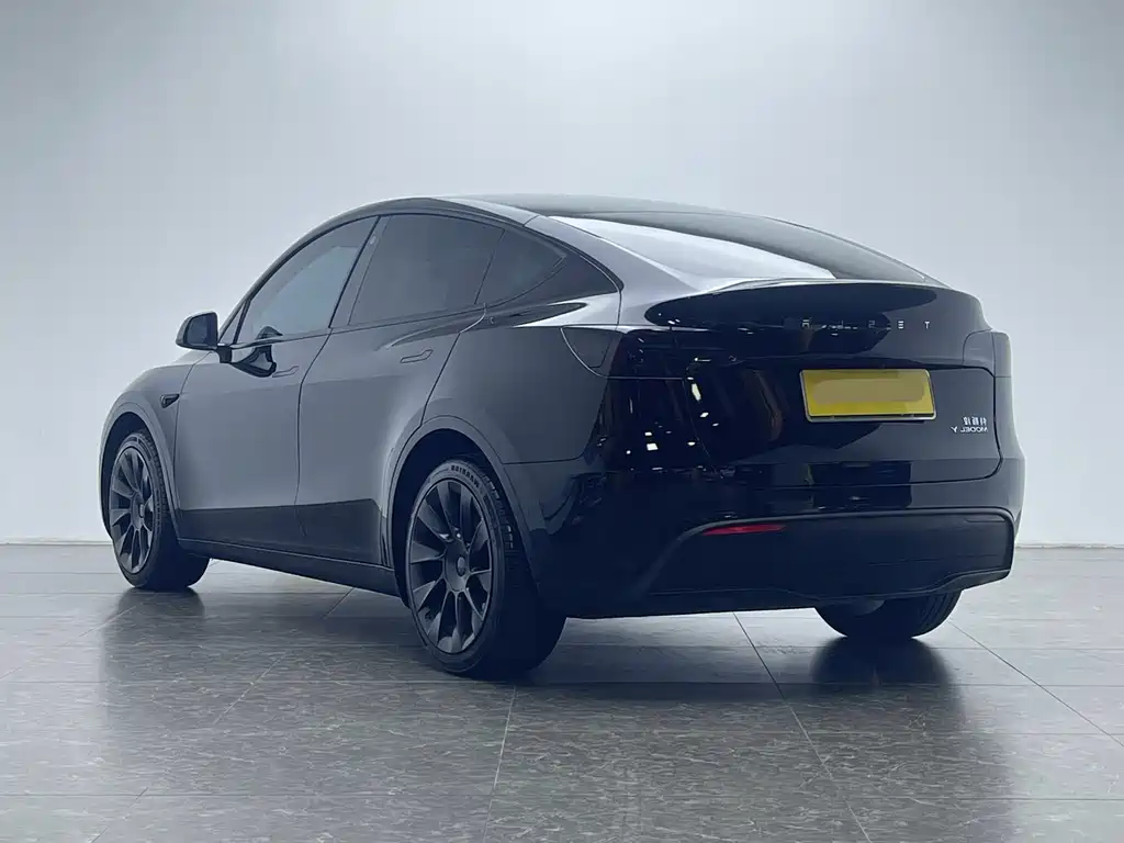 Tesla Model Y — миниатюра 21