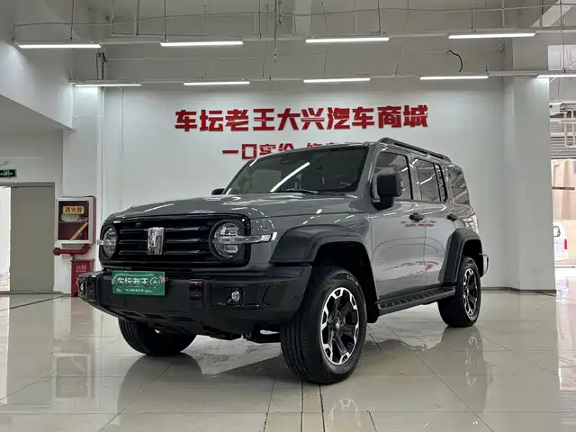 2025 TANK 300
