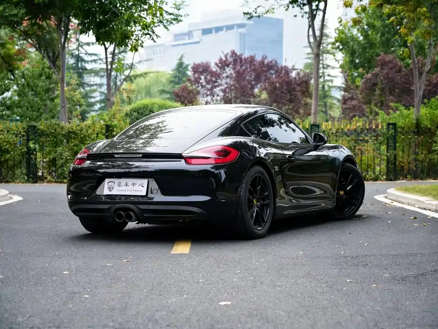 Porsche Cayman — миниатюра 6