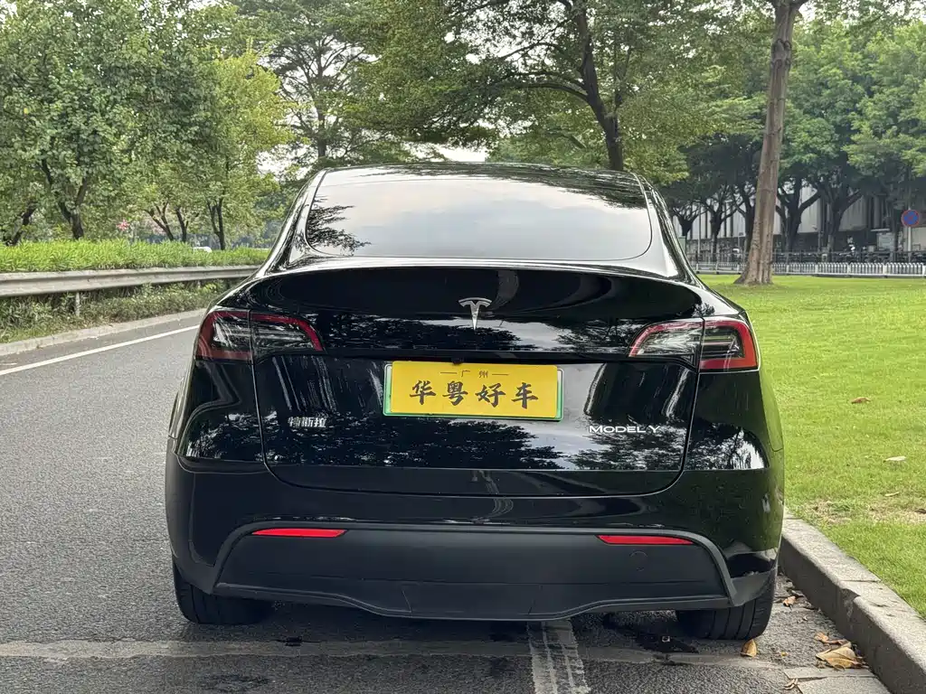 Tesla Model Y — миниатюра 3