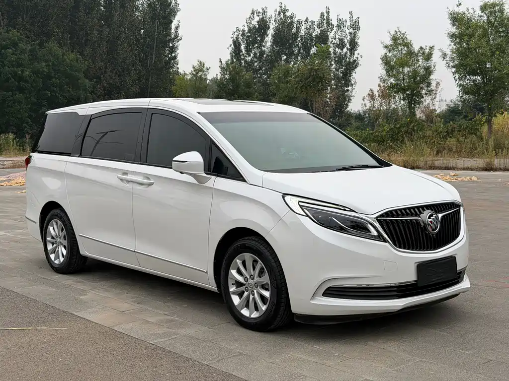 Buick GL8 — миниатюра 3