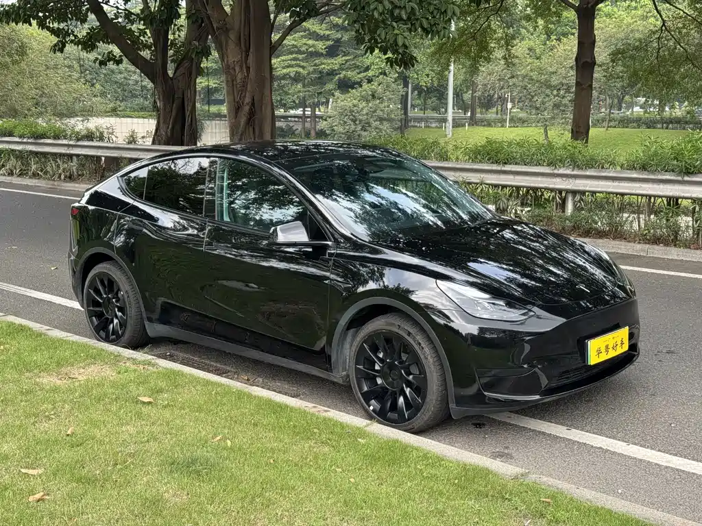 Tesla Model Y — миниатюра 6