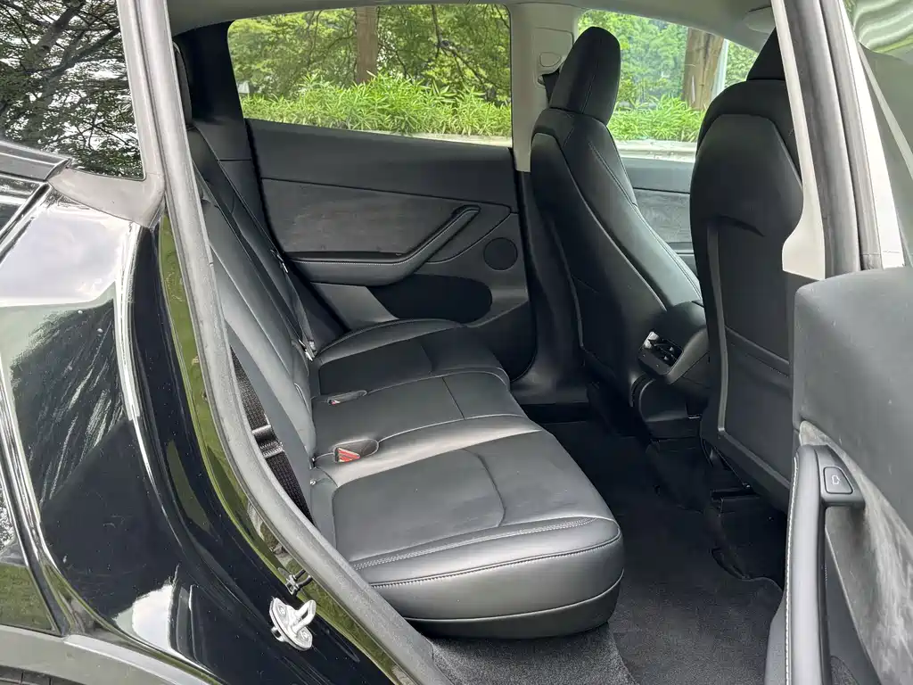 Tesla Model Y — миниатюра 11