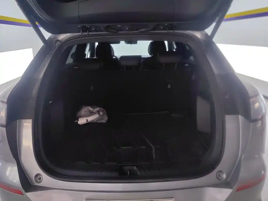 BYD Sealion 06 — миниатюра 4