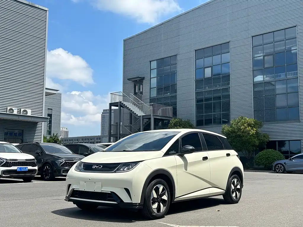 Byd Dolphin 2025