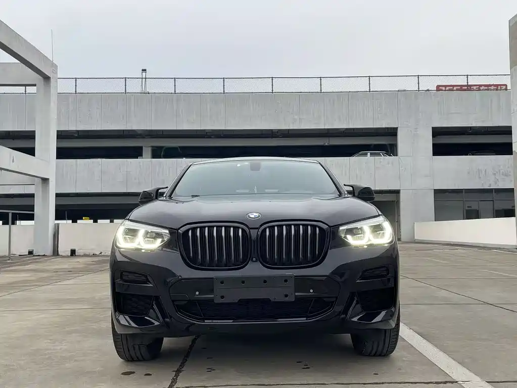 BMW X4 2020 xDrive25i M