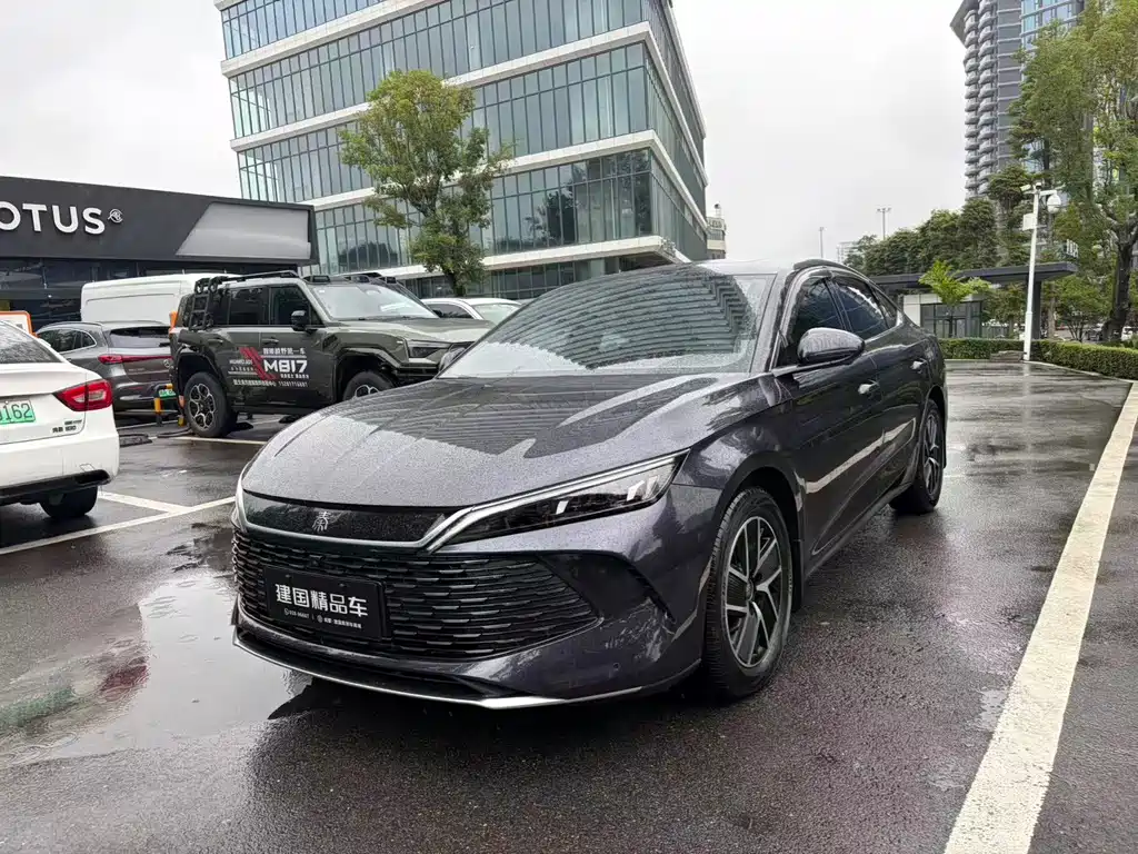 BYD Qin L L 2024 DM-i 120KM Lead