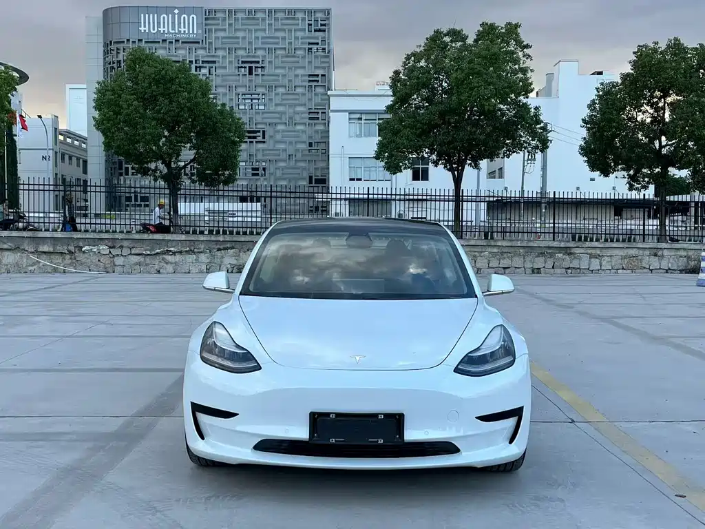 Tesla Model 3 — миниатюра 2