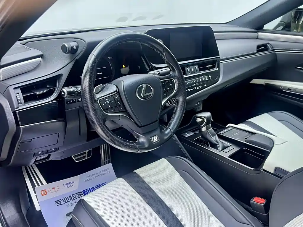 Lexus ES 2021 300h F SPORT