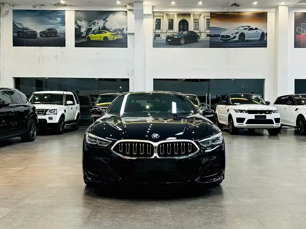 BMW 8 Series — миниатюра 2
