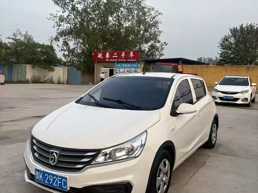 BAOJUN  310