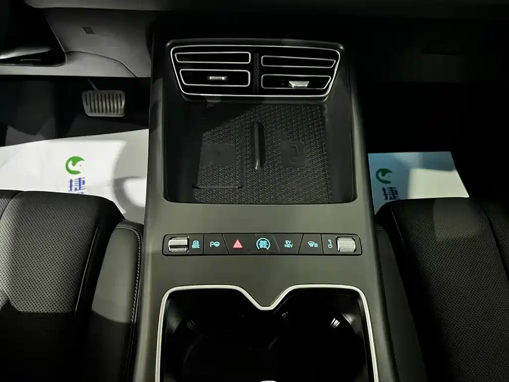 BYD Pro New Energy — миниатюра 11