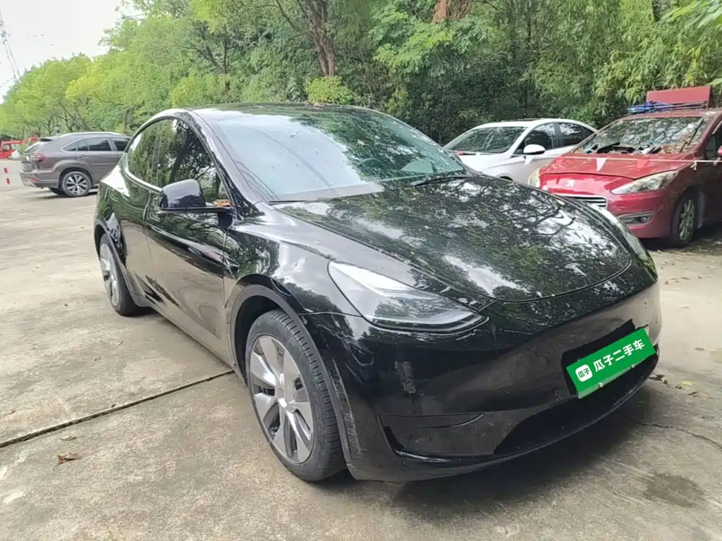 Tesla Model Y — миниатюра 4