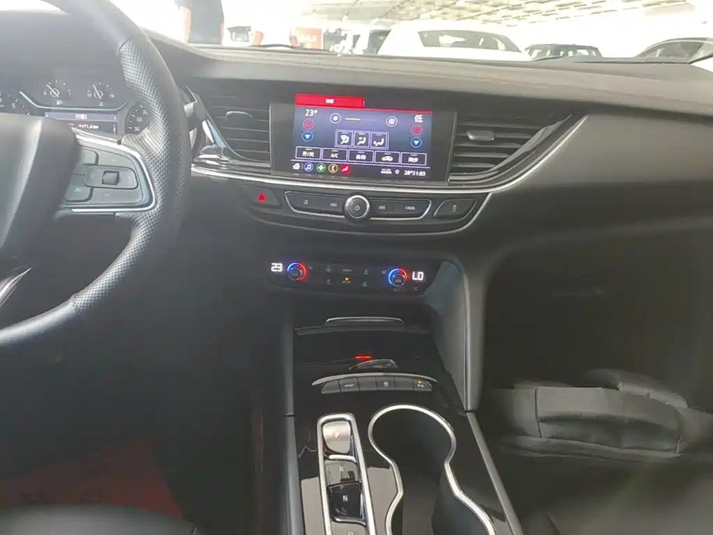 Buick Regal — миниатюра 13