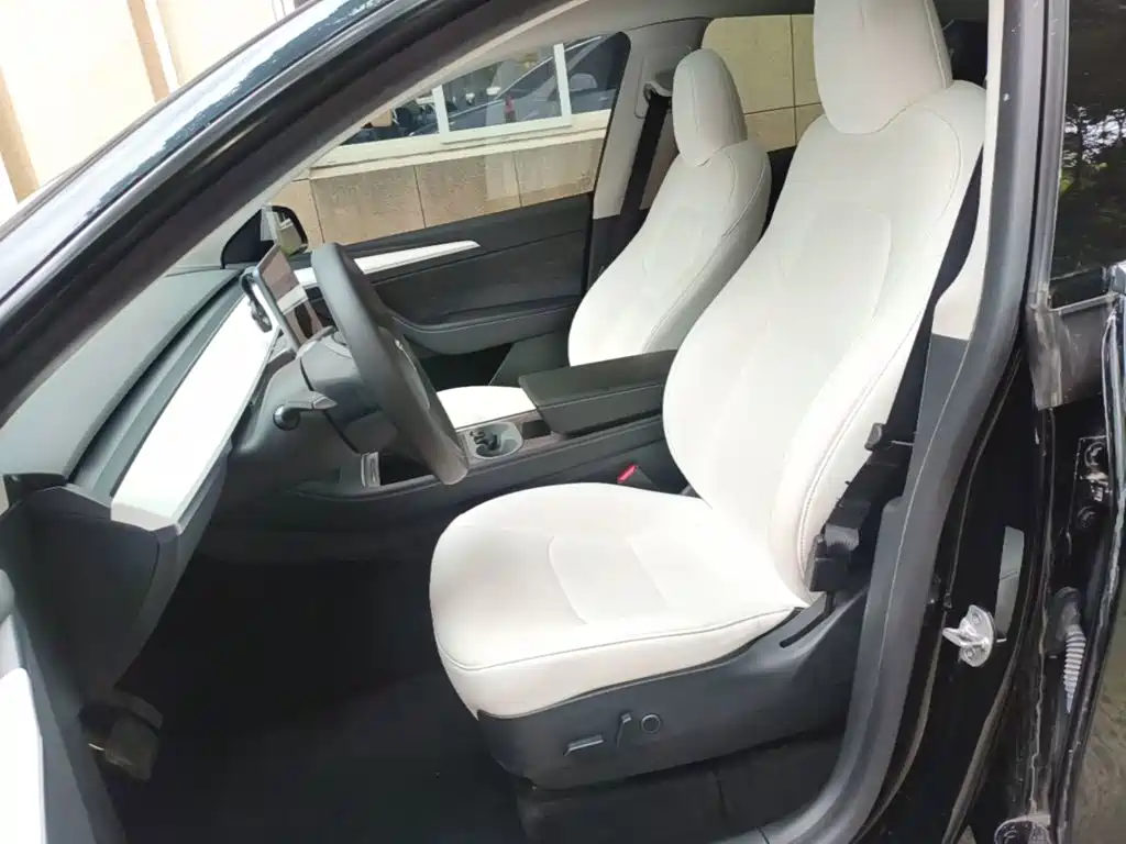 Tesla Model Y — миниатюра 15
