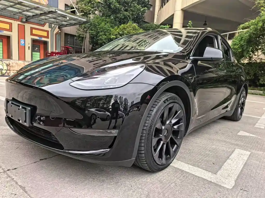 Tesla Model Y — миниатюра 4