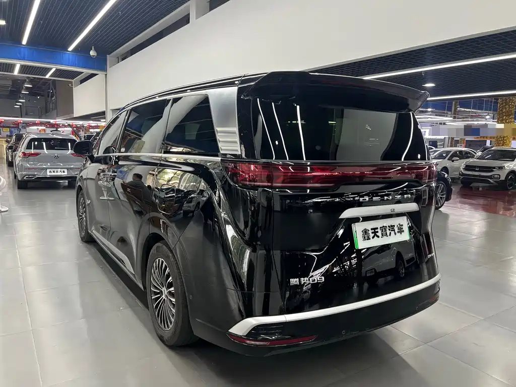 Denza Denza D9 — миниатюра 2