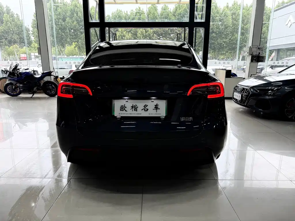 Tesla Model Y — миниатюра 5