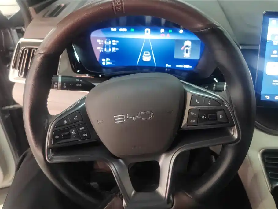 BYD SONGJIANG NEW ENERGY