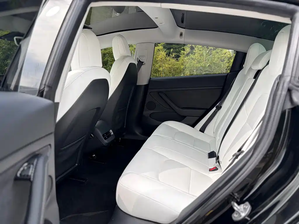 Tesla Model 3 — миниатюра 5