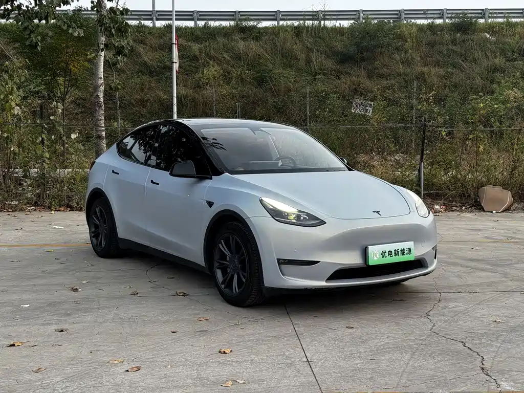 Tesla Model Y — миниатюра 6