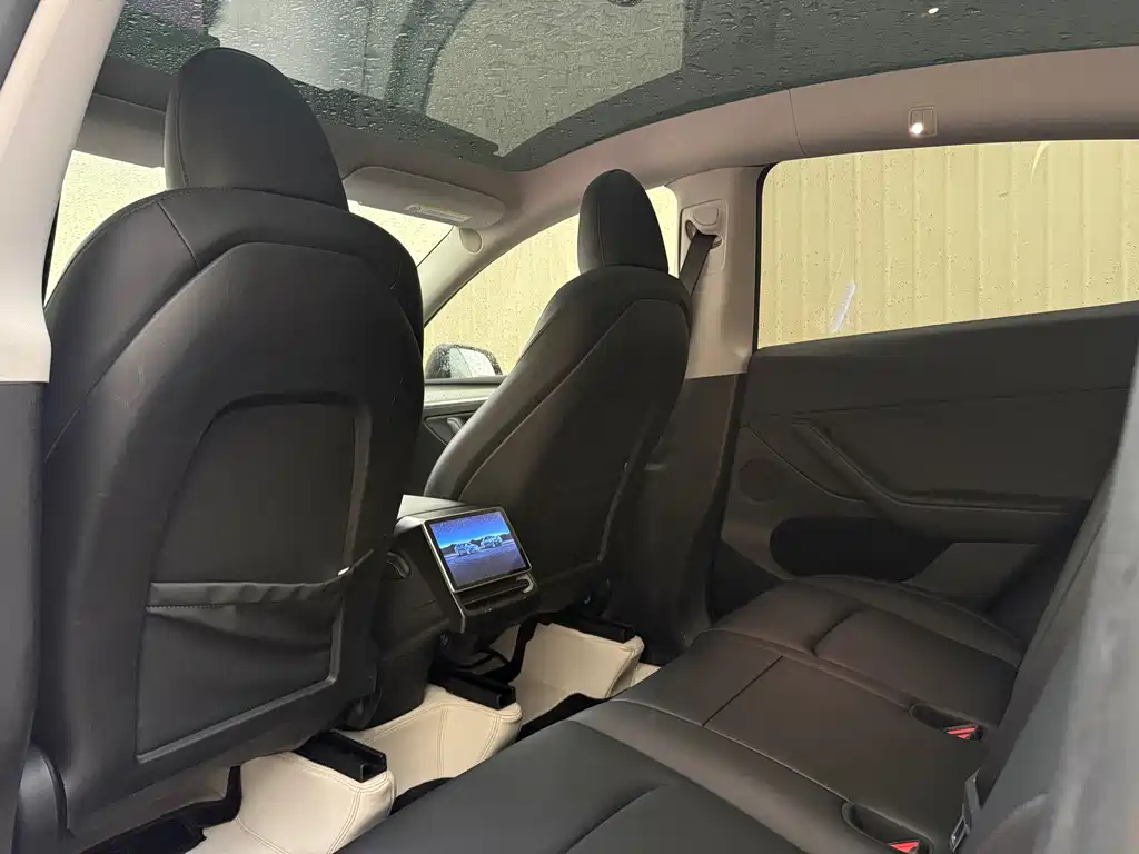Tesla Model Y — миниатюра 20