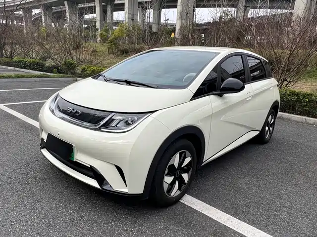 BYD DOLPHIN 2025