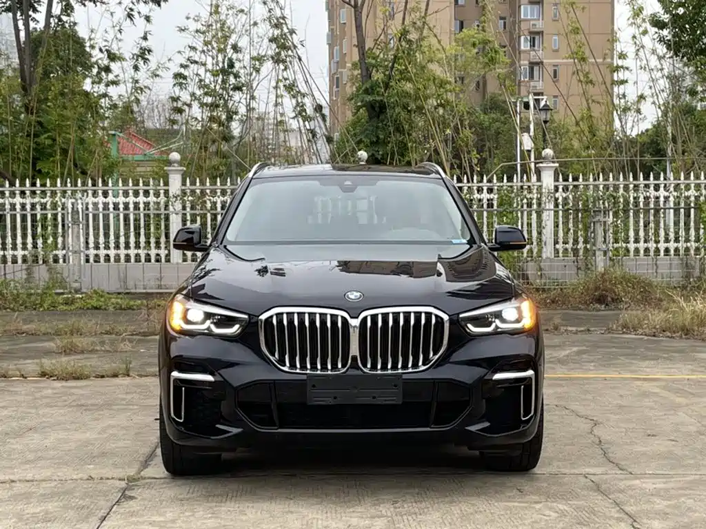 BMW X5 — миниатюра 9