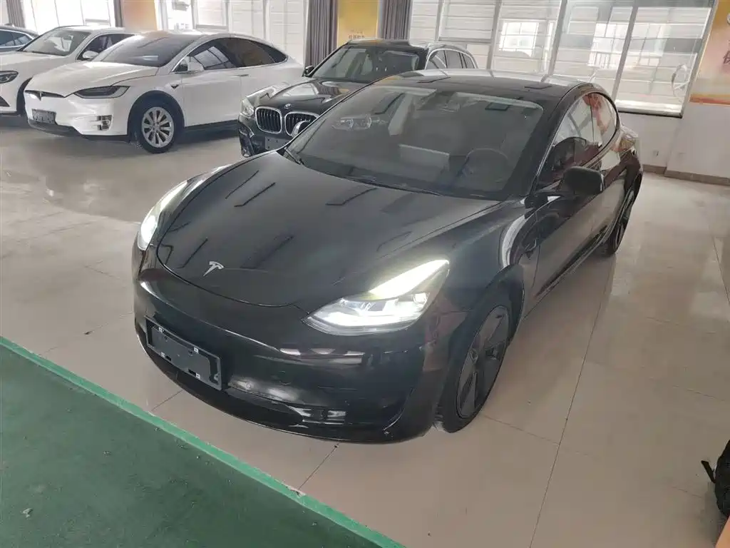 Tesla Model 3 2021
