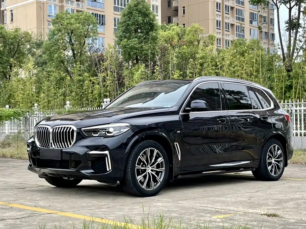 BMW X5 — миниатюра 11