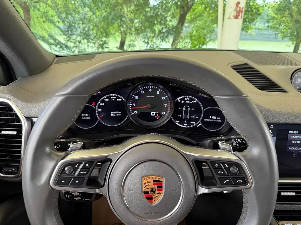Porsche Cayenne — миниатюра 19