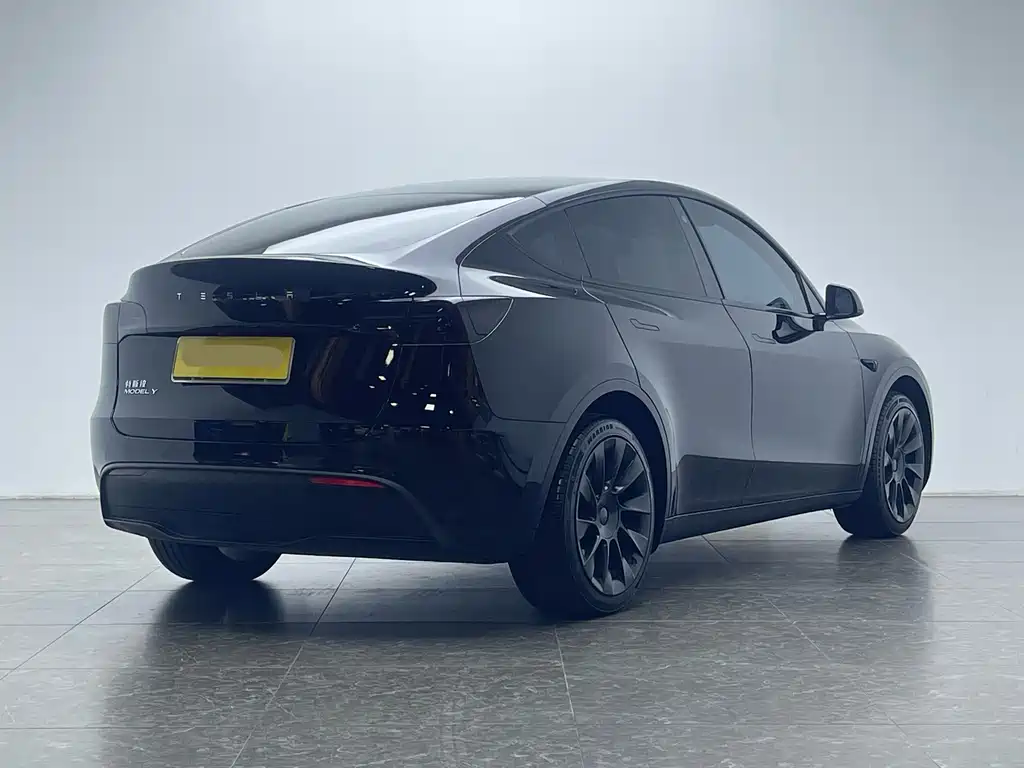 Tesla Model Y — миниатюра 3