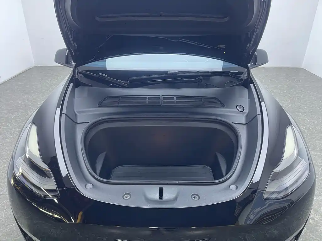 Tesla Model Y — миниатюра 18