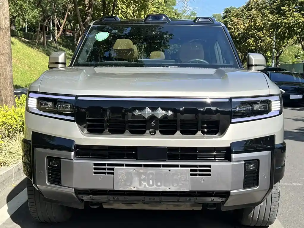 FANG CHENG BAO LEOPARD 8