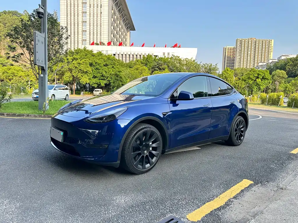 Tesla Model Y — миниатюра 2