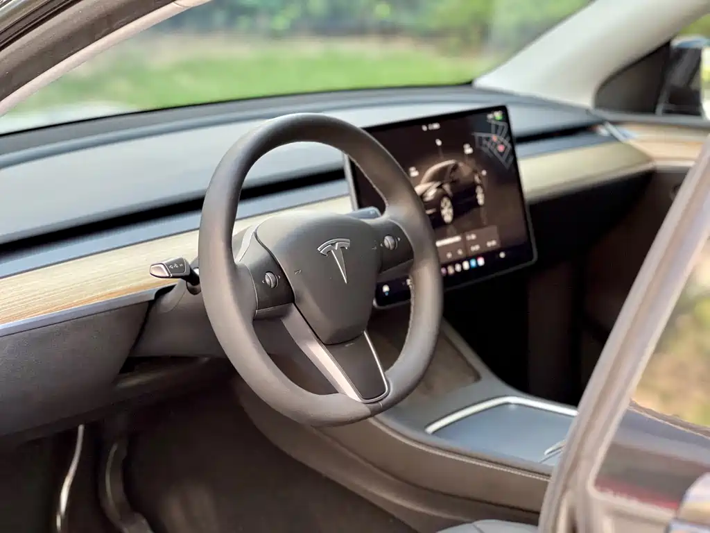 Tesla Model Y — миниатюра 19