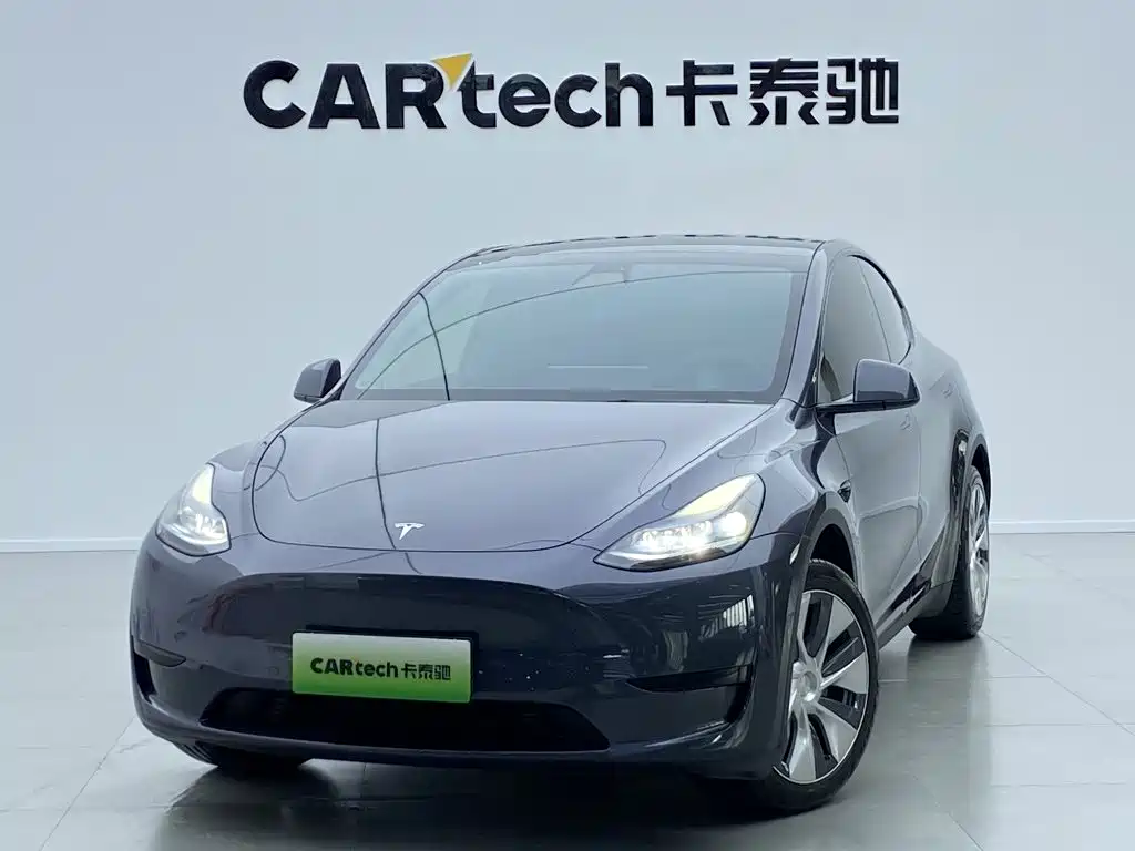 Tesla Model Y — миниатюра 10